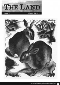 17-cover4web.jpg 17-cover4web.jpg
